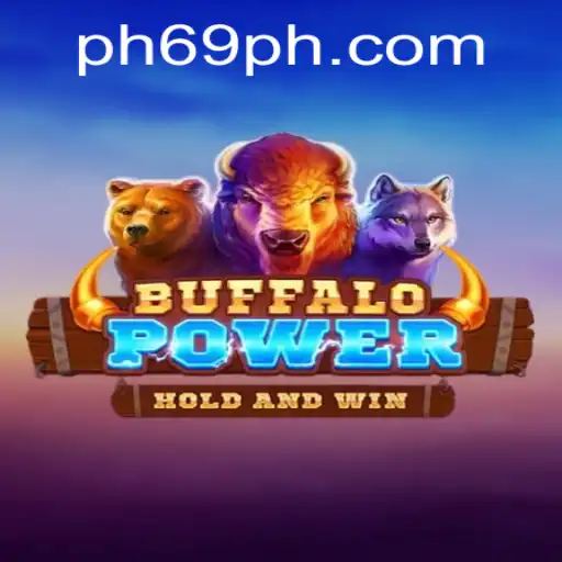 BuffaloPower: Engaging Gameplay in the Modern Era